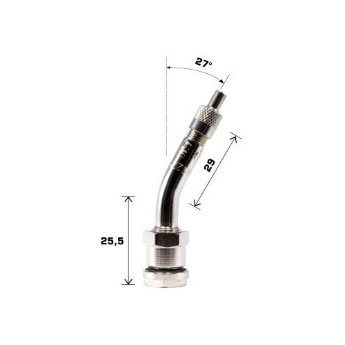 VALVOLA TUBELESS AUTOCARRO