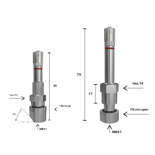 VALVOLA TPMS TUBELESS AUTOCARRO
