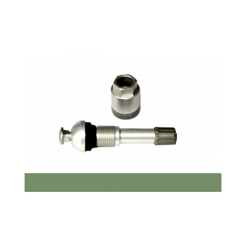 Particolare per TPMS SERVICE KIT 0401-0022-429