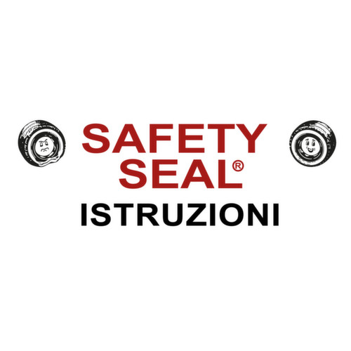 ISTRUZIONI SAFETY SEAL